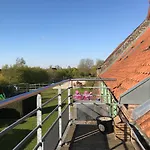 Les Jardins D'ilona - Les Palmiers - Les Bambous Arques (Pas-de-Calais)