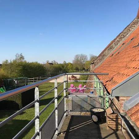 Les Jardins D'ilona - Les Palmiers - Les Bambous Arques (Pas-de-Calais)