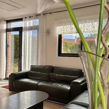 Les Jardins D'ilona - Les Palmiers - Les Bambous * Arques (Pas-de-Calais)