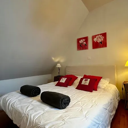 Les Jardins D'ilona - Les Palmiers - Les Bambous * Arques (Pas-de-Calais)