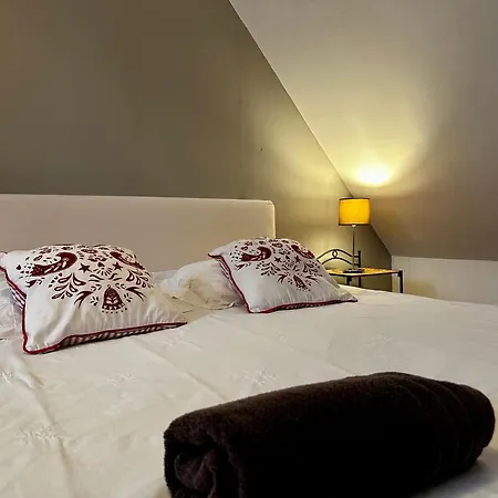 Les Jardins D'ilona - Les Palmiers - Les Bambous * Arques (Pas-de-Calais)