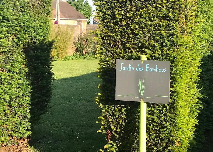 Les Jardins D'ilona - Les Palmiers - Les Bambous *