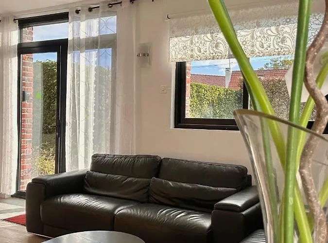 Les Jardins D'ilona - Les Palmiers - Les Bambous * Arques (Pas-de-Calais)