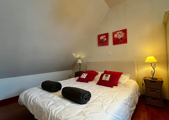 Les Jardins D'ilona - Les Palmiers - Les Bambous * Arques (Pas-de-Calais)