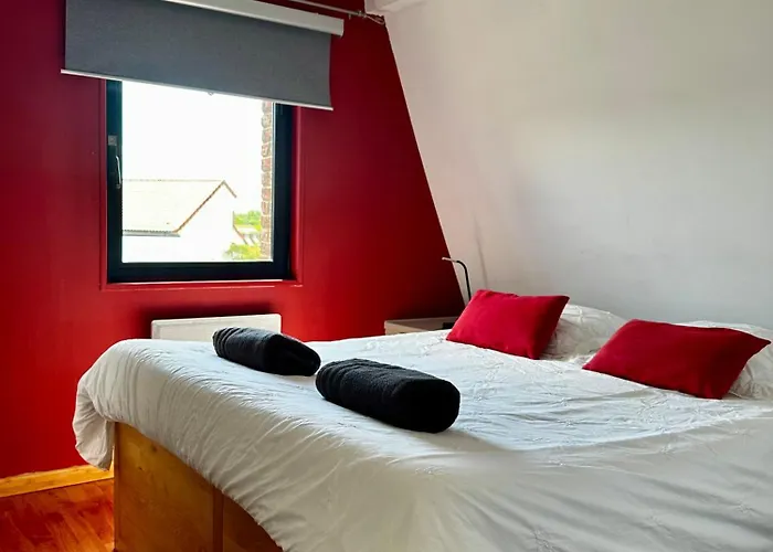 Les Jardins D'ilona - Les Palmiers - Les Bambous * Arques (Pas-de-Calais)